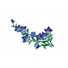 bloem applicatie violen blauw