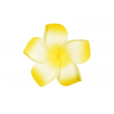  corsage hawaii  geel groot