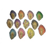 opstrijkbare pauwenveer applicatie set 12 kleuren met pailletten groot