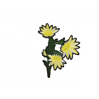 bloem applicatie edelweiss geel