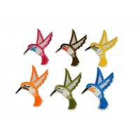 applicatie kolibri set 6 stuks