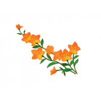 bloem applicatie violen oranje