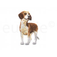 applicatie hond Jack Russell