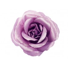 bloem corsage roos poeder roze