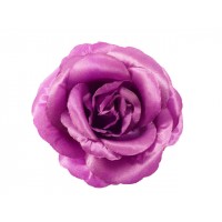 bloem corsage roos violet