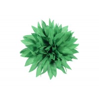 corsage groen dahlia