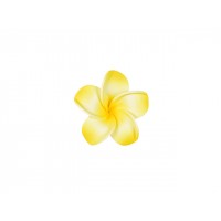  corsage hawaii  geel klein