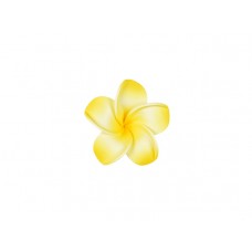  corsage hawaii  geel klein