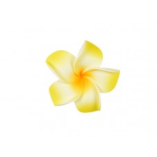  corsage hawaii  geel middel