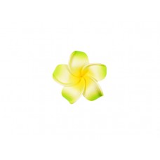  corsage hawaii groen klein