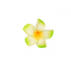  corsage hawaii groen middel