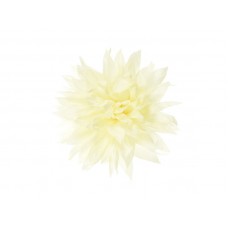 bloem corsage vanille wit dahlia