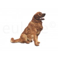 hond applicatie Golden Retriever